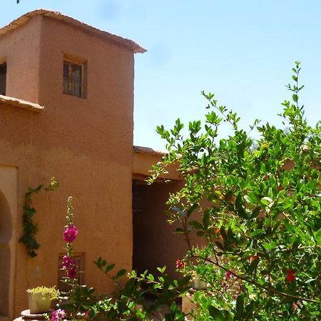 Hotel Kasbah Ait Moussa à El Kelaa des M'gouna Extérieur photo
