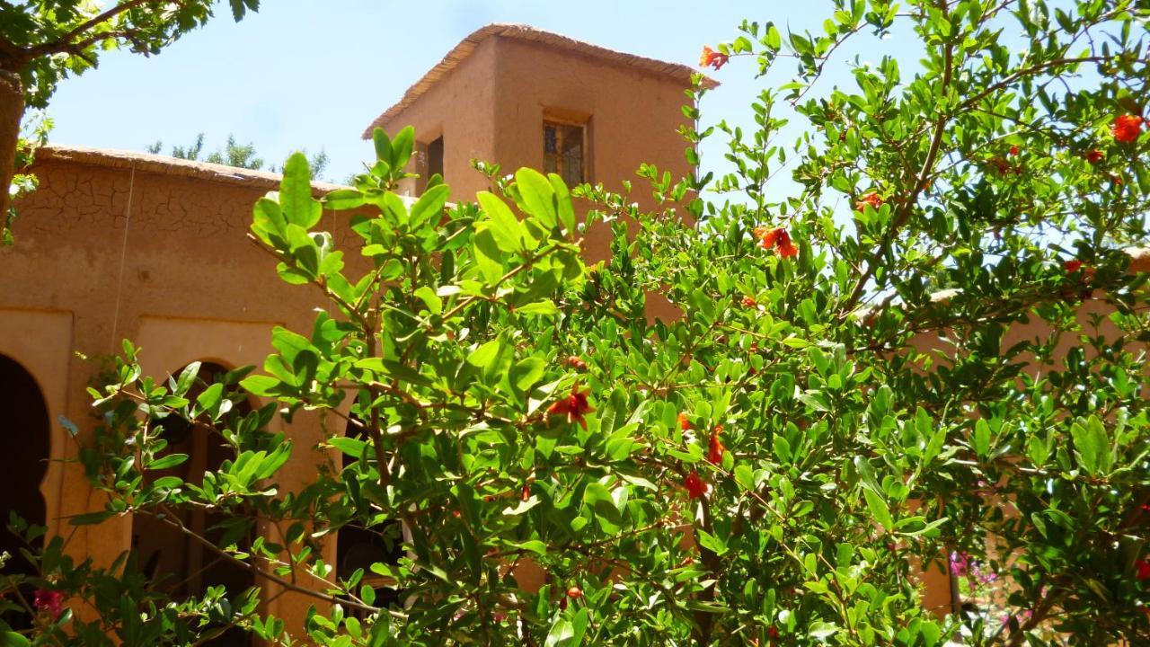 Hotel Kasbah Ait Moussa à El Kelaa des M'gouna Extérieur photo